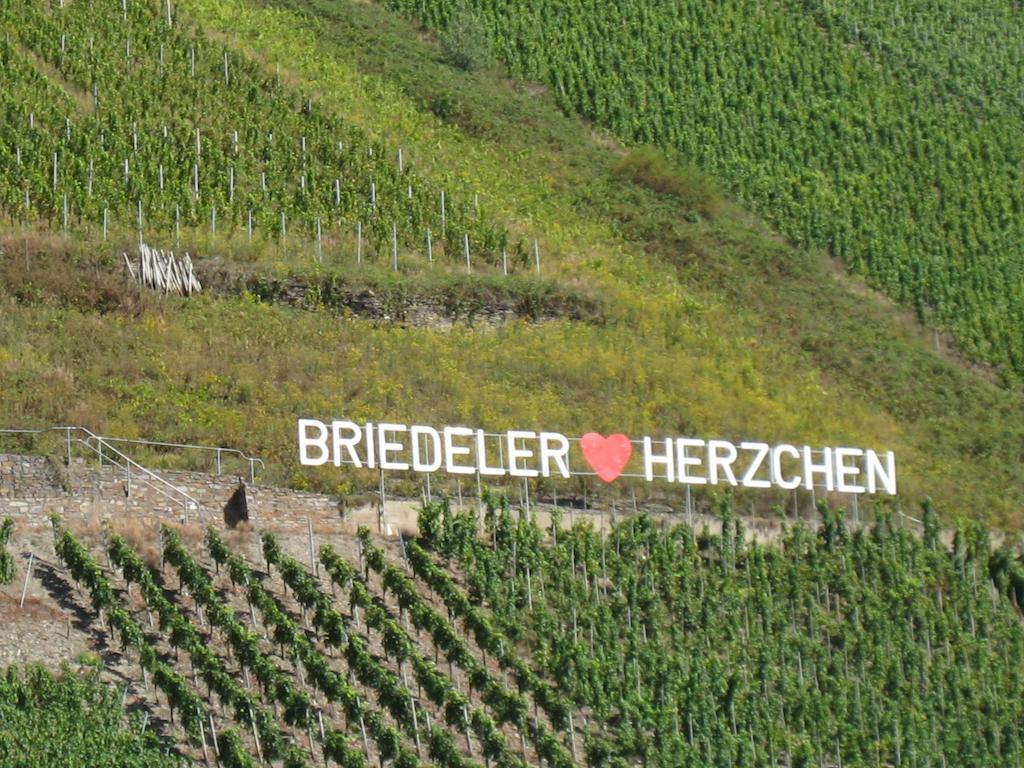 Отель Weingut Goeres Бридель Номер фото